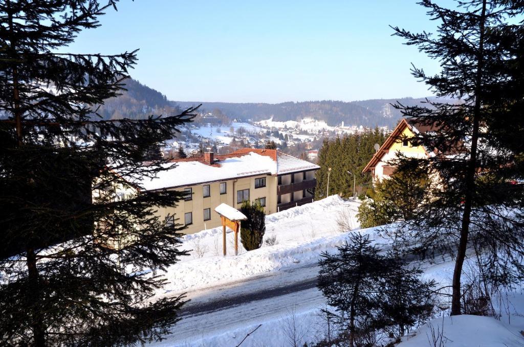 Hotel Pension Waldbaude 바멘스타이나크 외부 사진