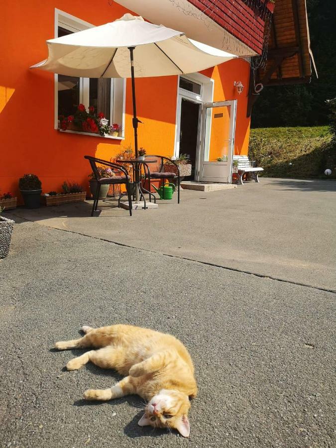 Hotel Pension Waldbaude 바멘스타이나크 외부 사진